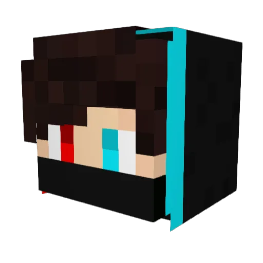 Alan0207 Minecraft avatar head, 3D render