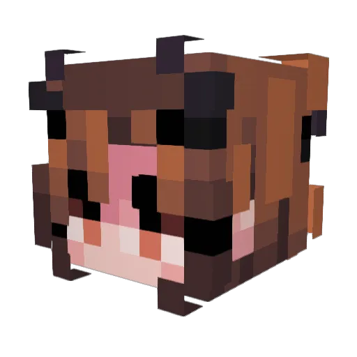 Alan1s Minecraft avatar head, 3D render
