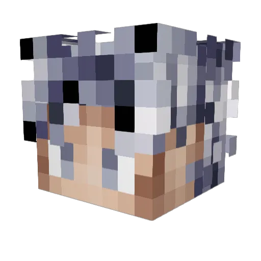 Alan20125518 Minecraft avatar head, 3D render