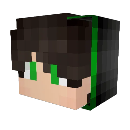 Alan2806 Minecraft avatar head, 3D render