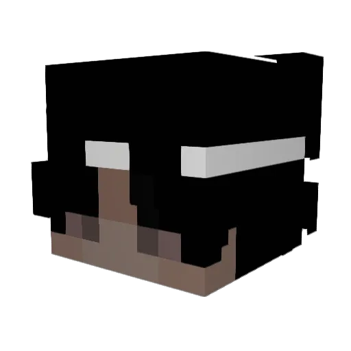 Alan55 Minecraft avatar head, 3D render
