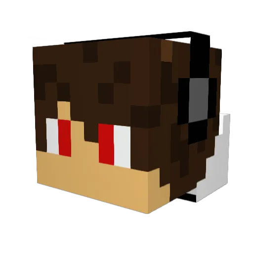 Alan9961 Minecraft avatar head, 3D render