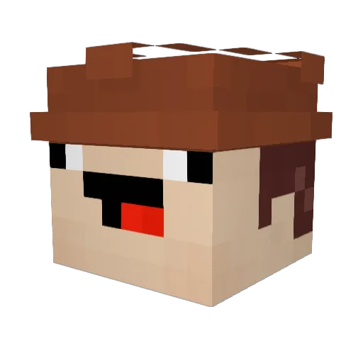 AlanGamer125 Minecraft avatar head, 3D render