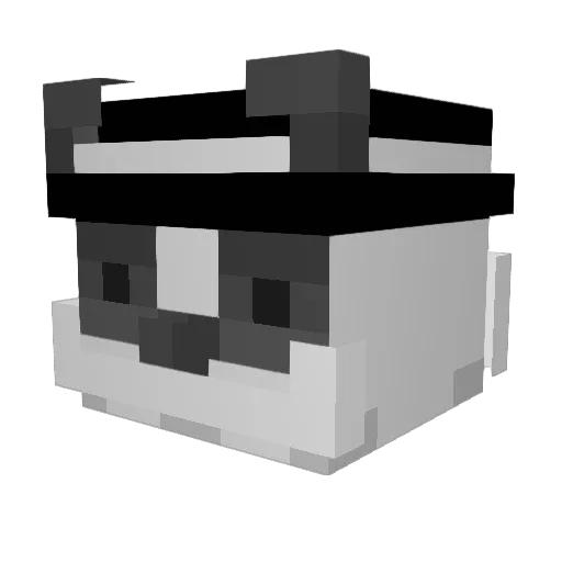AlanJ_05 Minecraft avatar head, 3D render