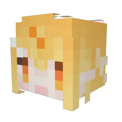 AlanLee455133 Minecraft avatar head, 3D render