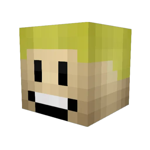 AlanNaghi Minecraft avatar head, 3D render