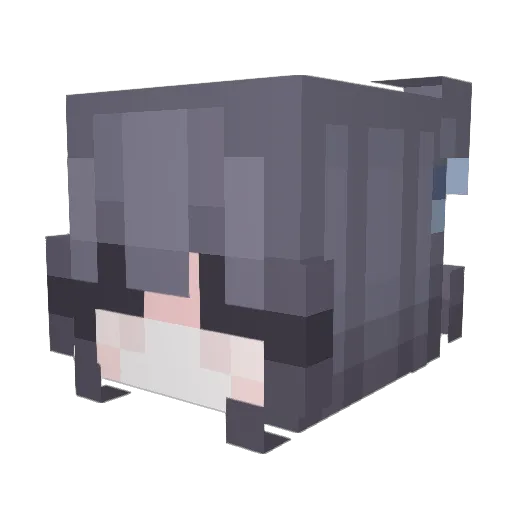 AlanRivers Minecraft avatar head, 3D render