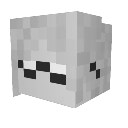 Alan_zsai Minecraft avatar head, 3D render