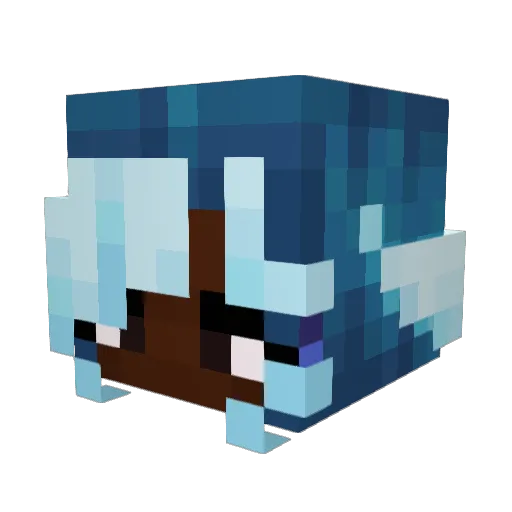 AlanaNSpace Minecraft avatar head, 3D render