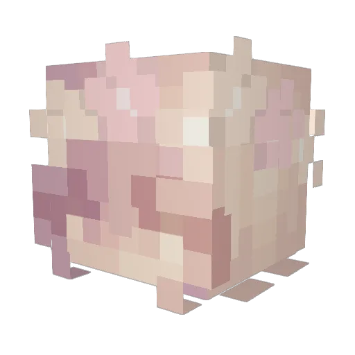 Alana_x Minecraft avatar head, 3D render