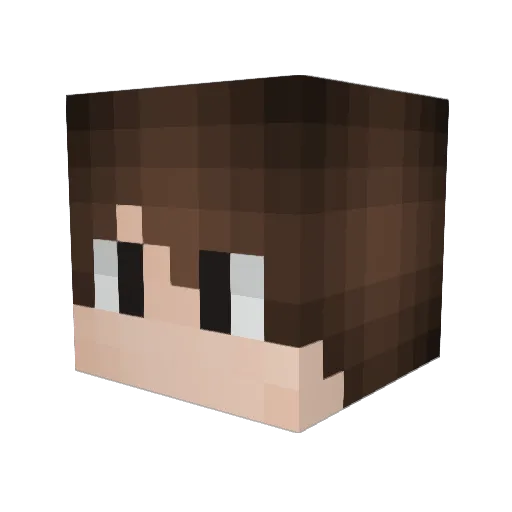 Alancho Minecraft avatar head, 3D render