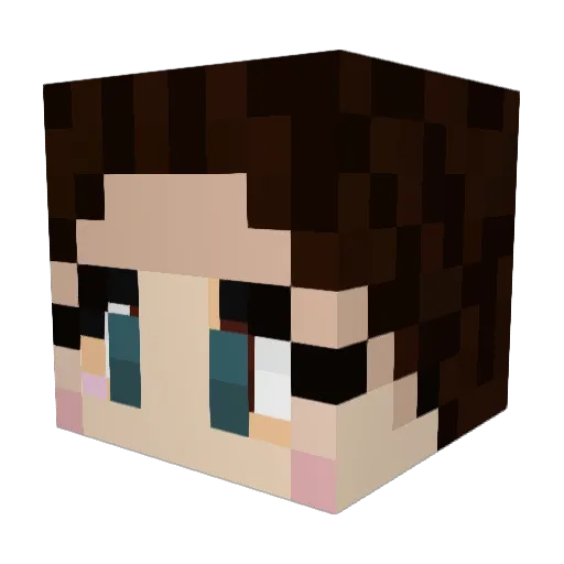 AlaniAlaniAlani Minecraft avatar head, 3D render
