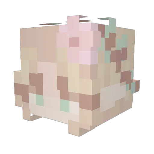 Alani_101 Minecraft avatar head, 3D render