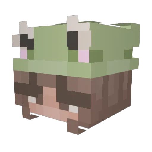 Alani_Playz Minecraft avatar head, 3D render