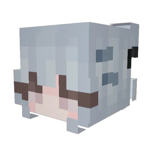 Alani_yun Minecraft avatar head, 3D render