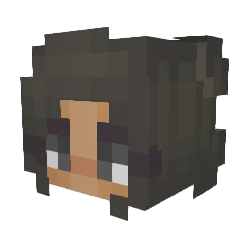 Alanis_DT Minecraft avatar head, 3D render