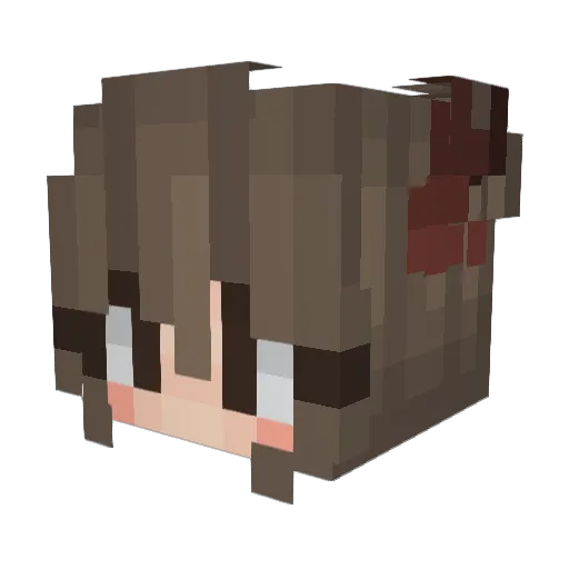 Alaniz173 Minecraft avatar head, 3D render