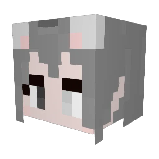 Alanm520 Minecraft avatar head, 3D render