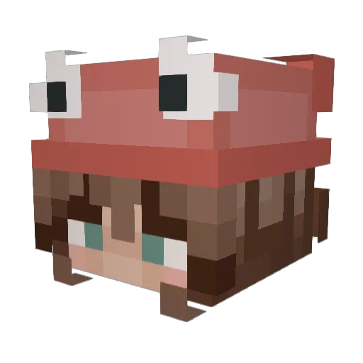 Alanna1104 Minecraft avatar head, 3D render