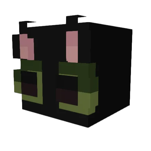AlantheFrog Minecraft avatar head, 3D render