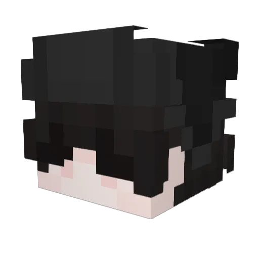Alanweak Minecraft avatar head, 3D render