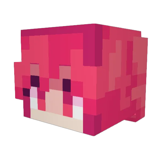 Alany09 Minecraft avatar head, 3D render