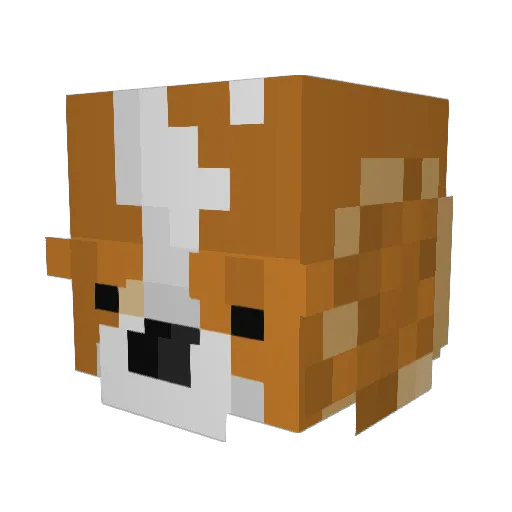 Alapapii Minecraft avatar head, 3D render