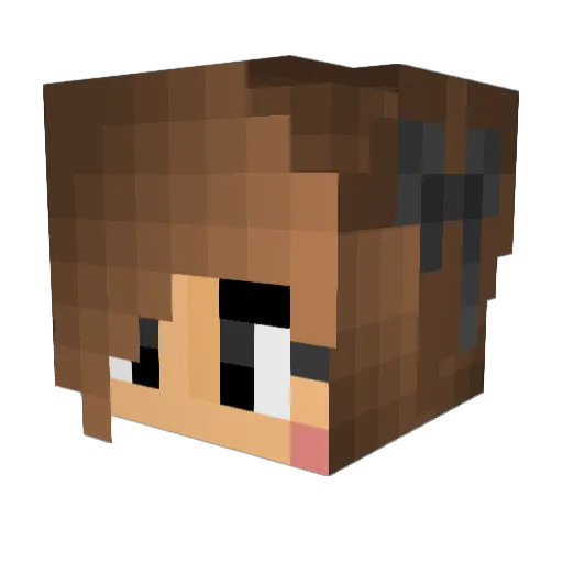 Alaran4 Minecraft avatar head, 3D render
