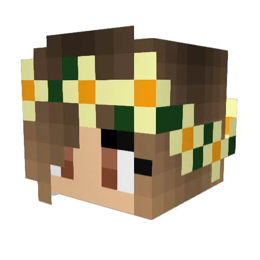 AlaskaKid2000 Minecraft avatar head, 3D render