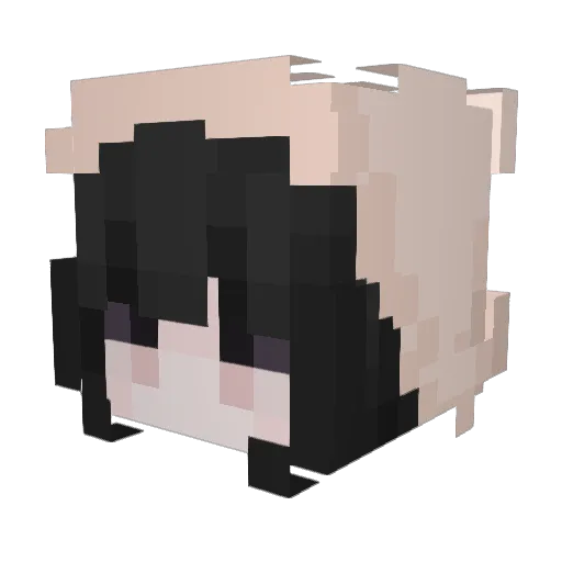 AlaskaRed Minecraft avatar head, 3D render