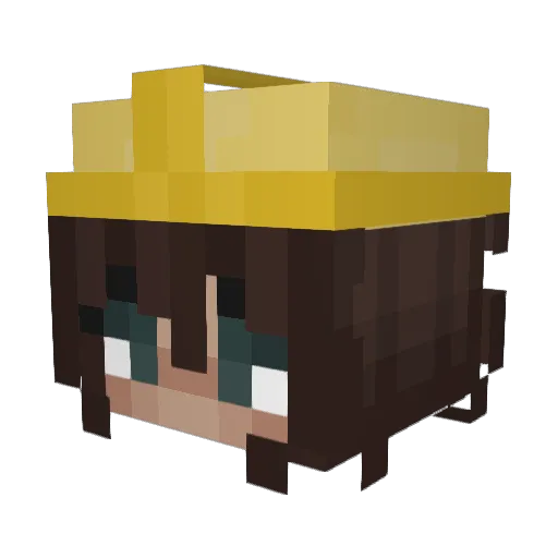 AlaskaSkies Minecraft avatar head, 3D render