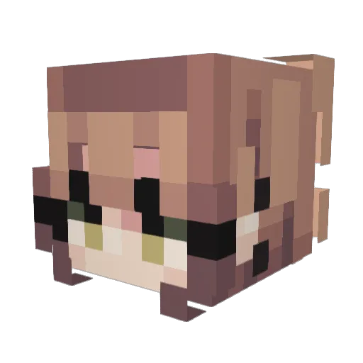 Alaska_Renegade Minecraft avatar head, 3D render