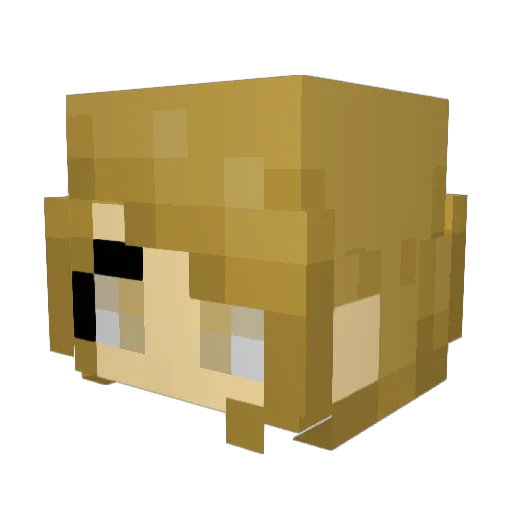 Alastor29 Minecraft avatar head, 3D render