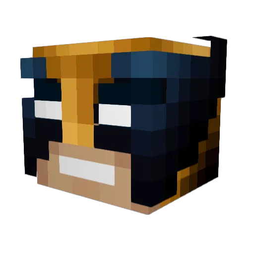 Alastor713 Minecraft avatar head, 3D render