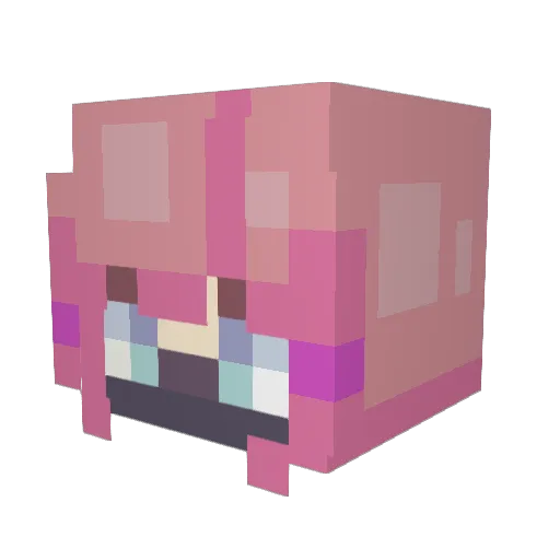 Alastor9958 Minecraft avatar head, 3D render