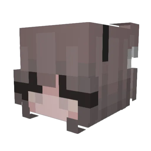 Alaxtrs Minecraft avatar head, 3D render