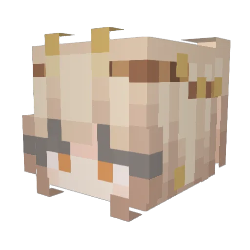 Alayvia Minecraft avatar head, 3D render