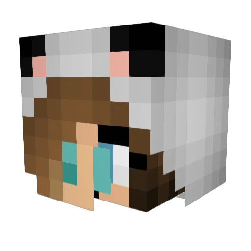 AlbA_KG Minecraft avatar head, 3D render