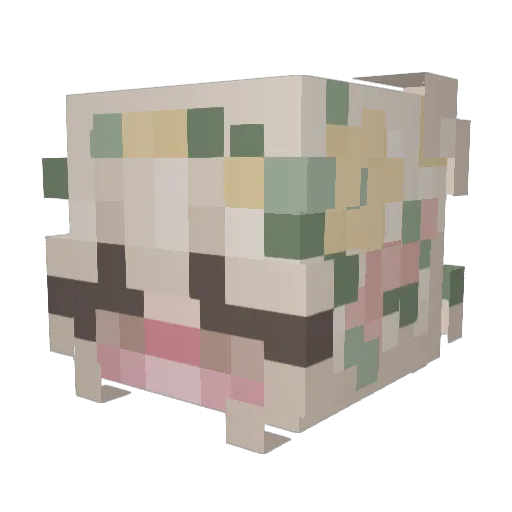 AlbaCarvel Minecraft avatar head, 3D render