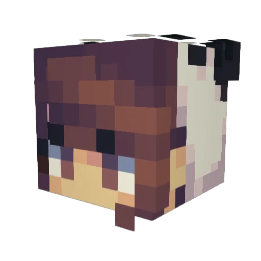 AlbaDs Minecraft avatar head, 3D render