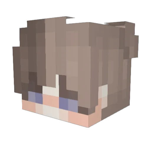AlbaLOL Minecraft avatar head, 3D render