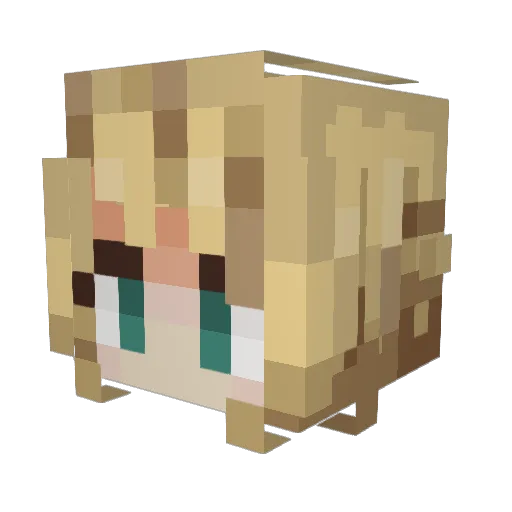 Albake21 Minecraft avatar head, 3D render