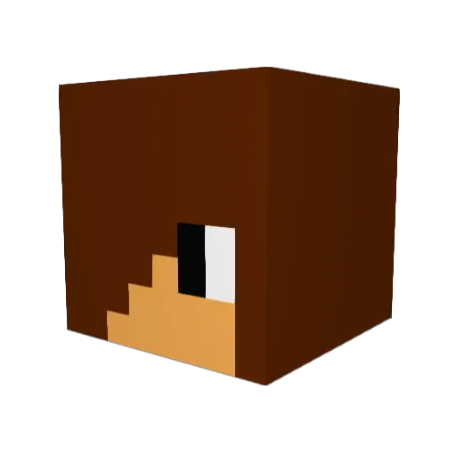 Albator64 Minecraft avatar head, 3D render