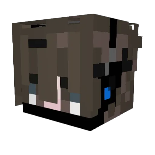 AlbeiroSD Minecraft avatar head, 3D render