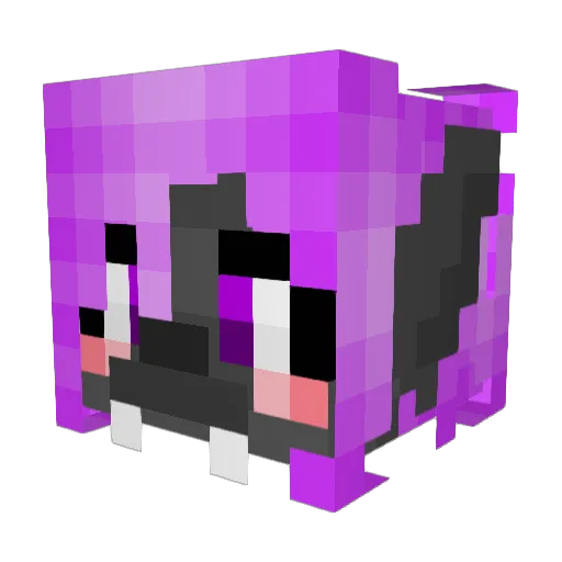 AlbelNox Minecraft avatar head, 3D render