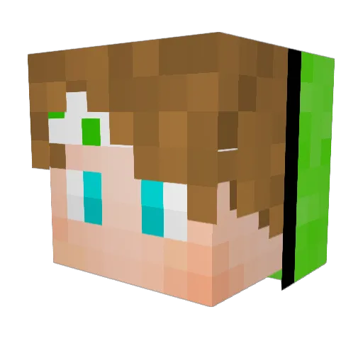 Alber Minecraft avatar head, 3D render