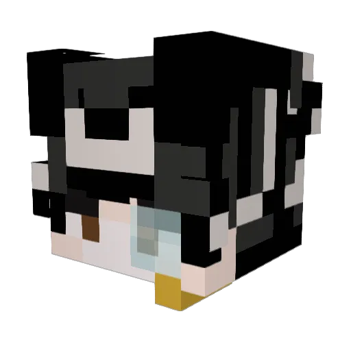 AlbertBoy67 Minecraft avatar head, 3D render