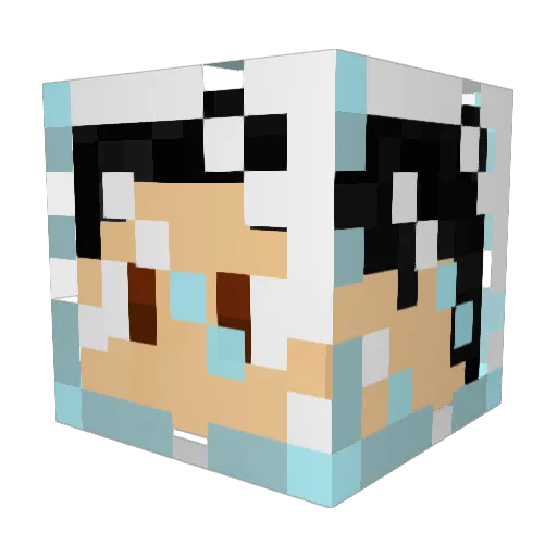AlbertIn3D Minecraft avatar head, 3D render