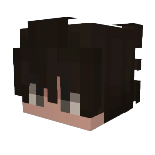 AlbertKickFlip Minecraft avatar head, 3D render