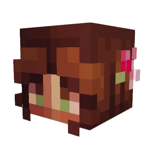 AlbertSalami Minecraft avatar head, 3D render
